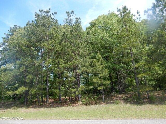 Land for sale in Dry Branch