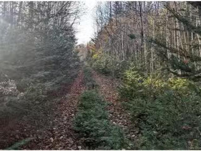 House for sale in Albert, New Brunswick