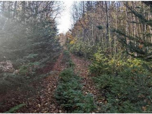 Land for sale in Hopewell Cape, Hopewell Parish