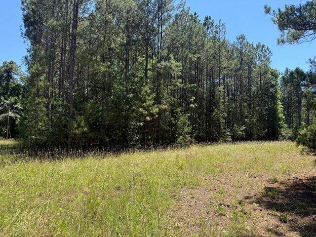 Land for sale in Abbeville, South Carolina