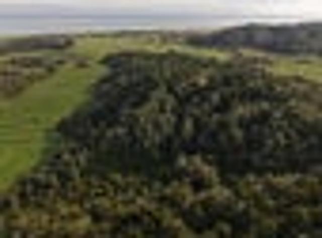 Land for sale in West Coast