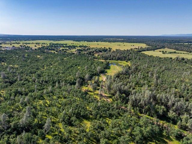 Farm for sale in Cottonwood, Shasta County