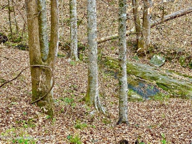 Land for sale in Tallapoosa, Alabama