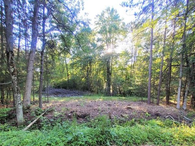 Land for sale in Merrillan, Wisconsin