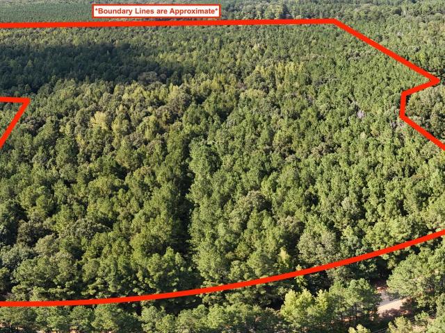 Land for sale in Starkville, Mississippi