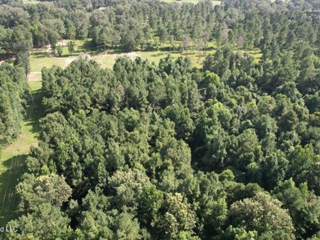 Land for sale in Centreville, Mississippi