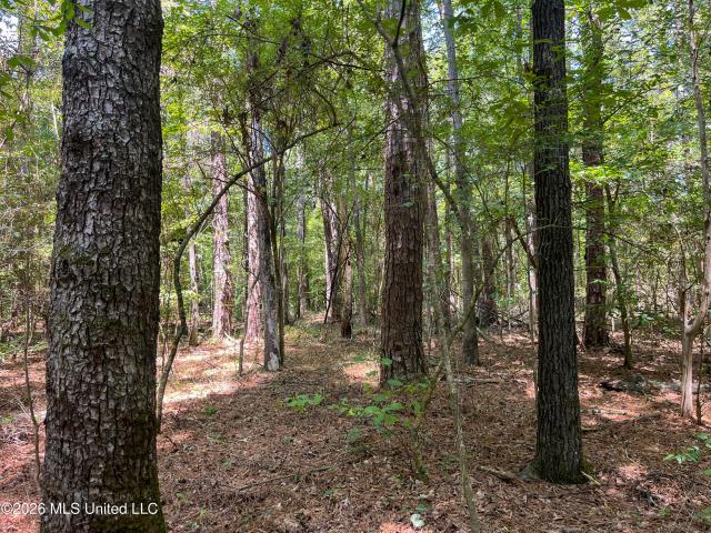 Land for sale in Hazlehurst, Mississippi