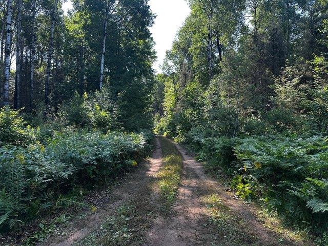 Land for sale in Watersmeet, Michigan