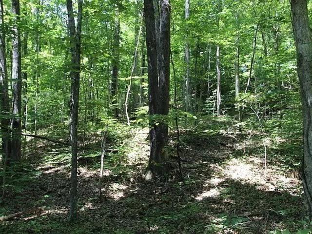 Farm for sale in Tennessee