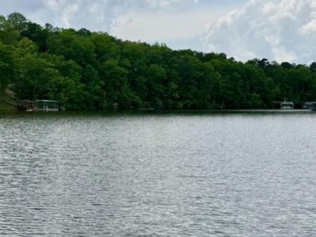 Land for sale in Wedowee, Alabama