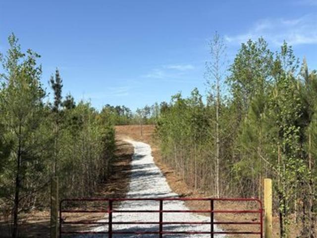 Land for sale in Wedowee, Alabama