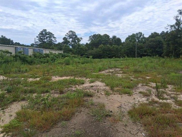 Land for sale in Mount Vernon, Alabama