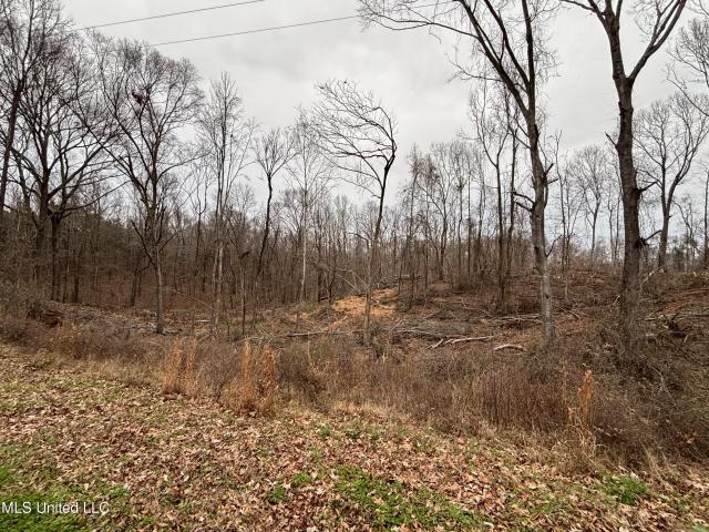 Land for sale in Yazoo City, Mississippi