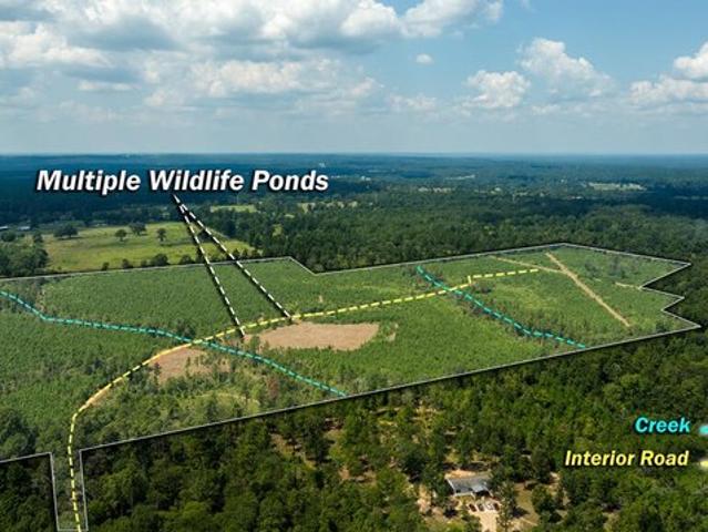 Land for sale in Lufkin, Texas