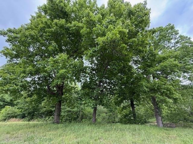 Land for sale in Ashland, Mississippi