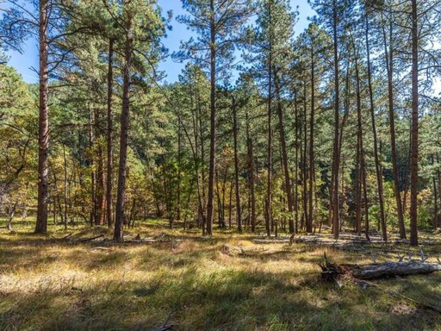 Land for sale in Keystone, South Dakota