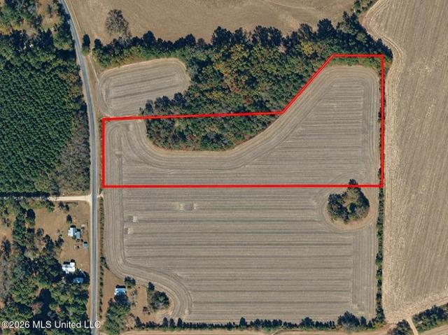 Land for sale in Forest, Scott County