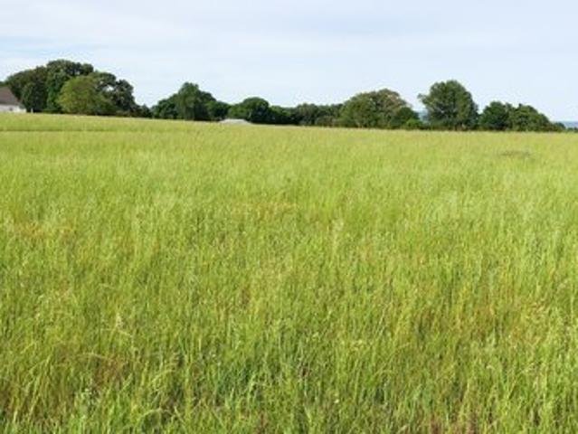 Land for sale in Tennessee