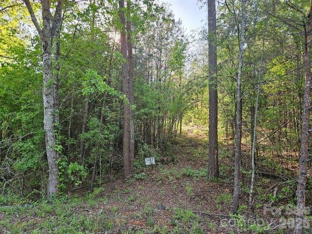Land for sale in Rutherford, North Carolina