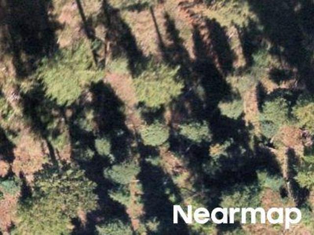 Property for sale in Seeley Lake, Montana