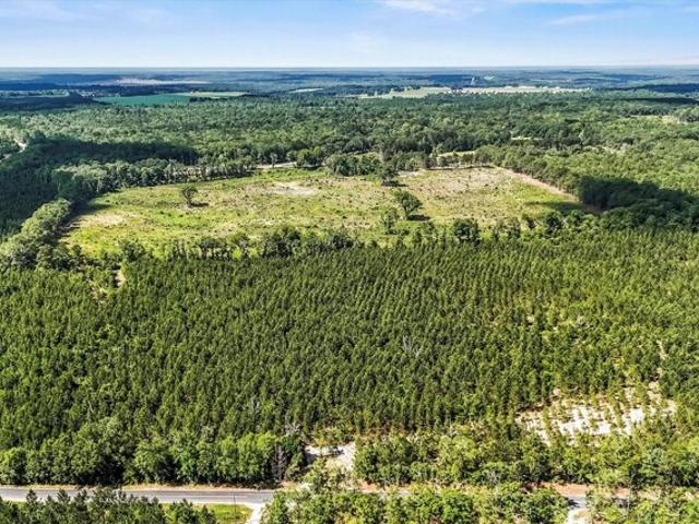 Land for sale in Wagener, South Carolina