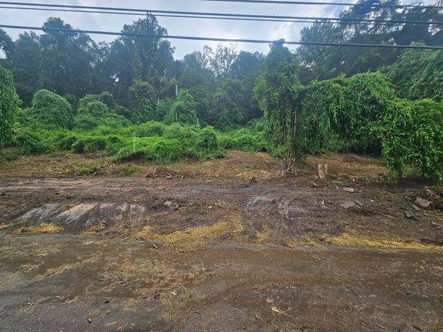 Land for sale in Tennessee