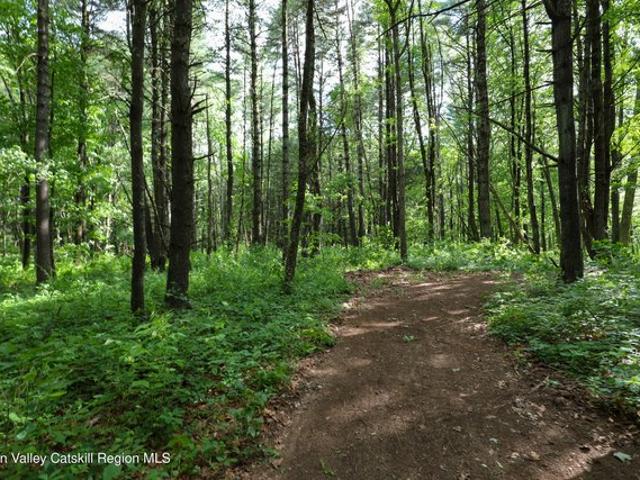 Land for sale in Catskill, New York