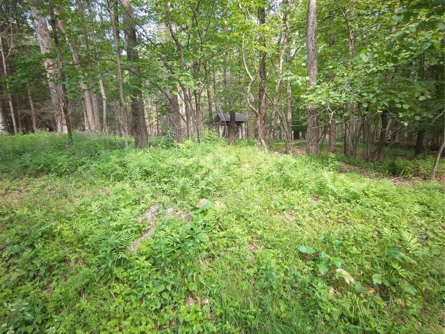Land for sale in Claryville, New York