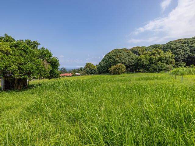 Land for sale in Hakalau, Hawaiʻi County