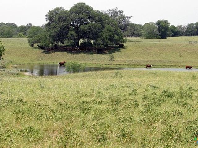 Farm for sale in Lockhart, Texas