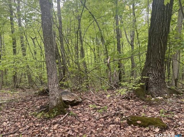 Land for sale in Granby, Connecticut