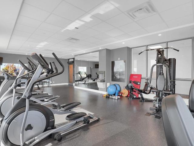 Apartment for rent in Kingston, Ontario