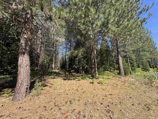Land for sale in Mccloud, California