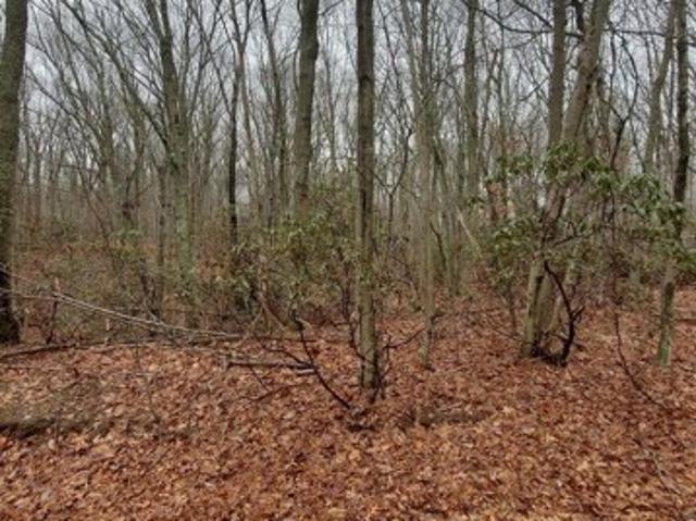 Land for sale in Saint James