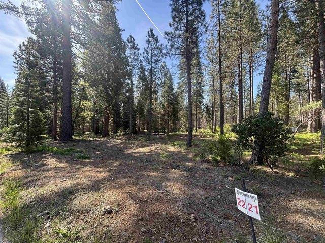 Land for sale in Mccloud, California
