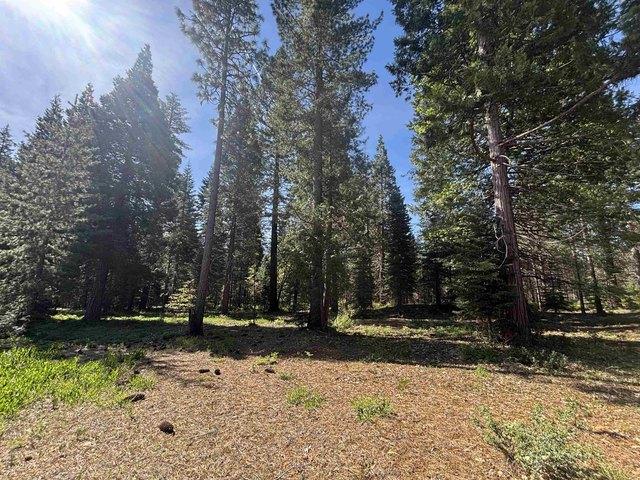 Land for sale in Mccloud, California