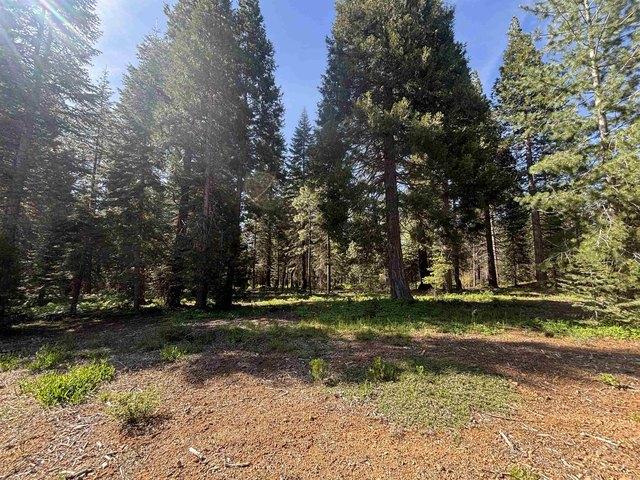 Land for sale in Mccloud, California