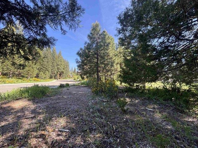 Land for sale in Mccloud, California