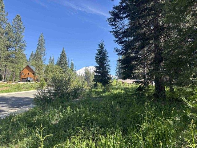 Land for sale in Mccloud, California