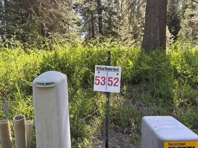 Land for sale in Mccloud, California