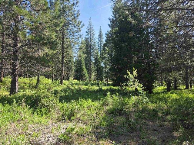 Land for sale in Mccloud, California
