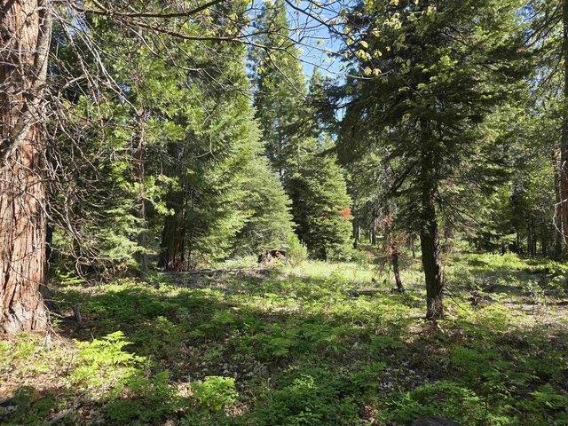Land for sale in Mccloud, California