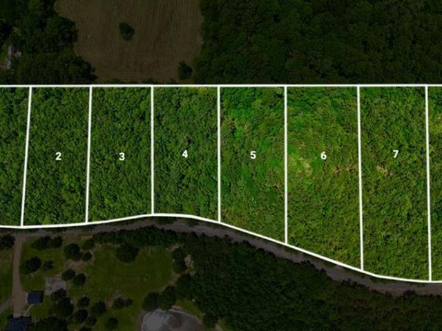 Land for sale in Eupora, Mississippi