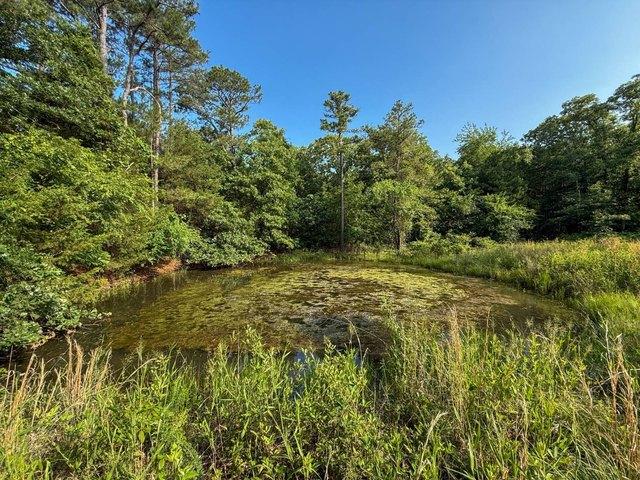 Land for sale in Antlers, Oklahoma