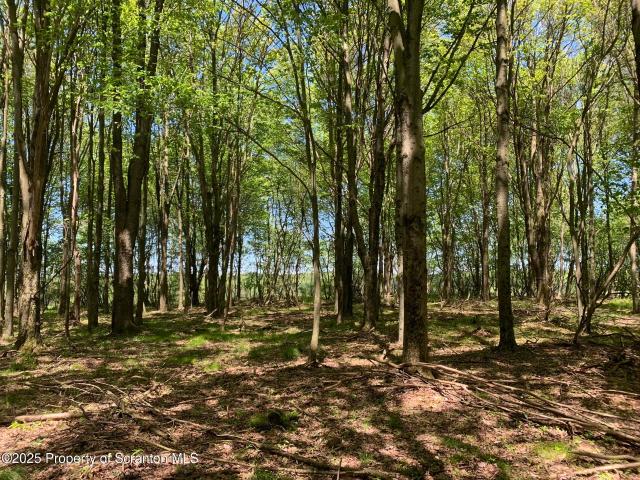 Land for sale in South Gibson, Pennsylvania