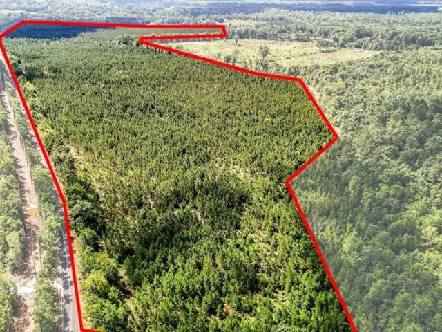 Land for sale in Wagener