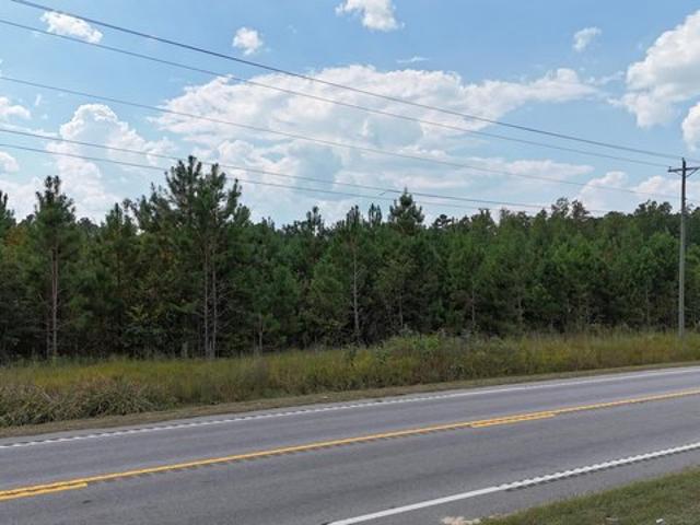 Land for sale in Elloree, South Carolina