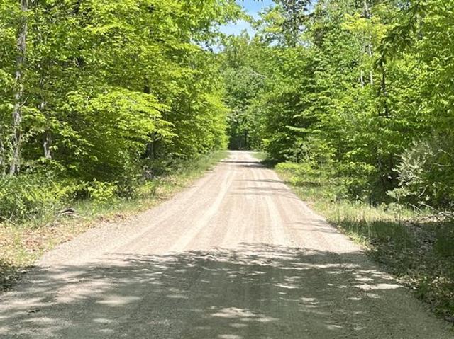 Land for sale in Cheboygan, Michigan