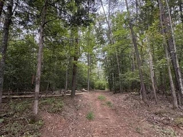 Land for sale in Locust Grove, Orange County
