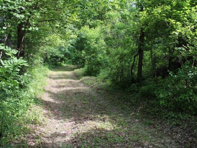 Land for sale in Danby Land for sale in Danby